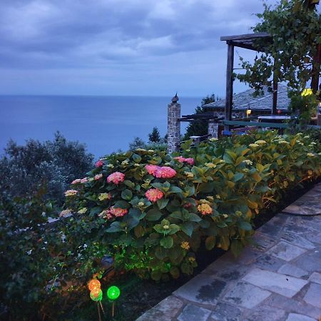 Villa Analipsi Sea View Hommes Zagora Exterior foto