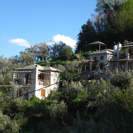 Villa Analipsi Sea View Hommes Zagora Exterior foto